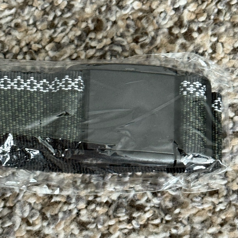 Belt